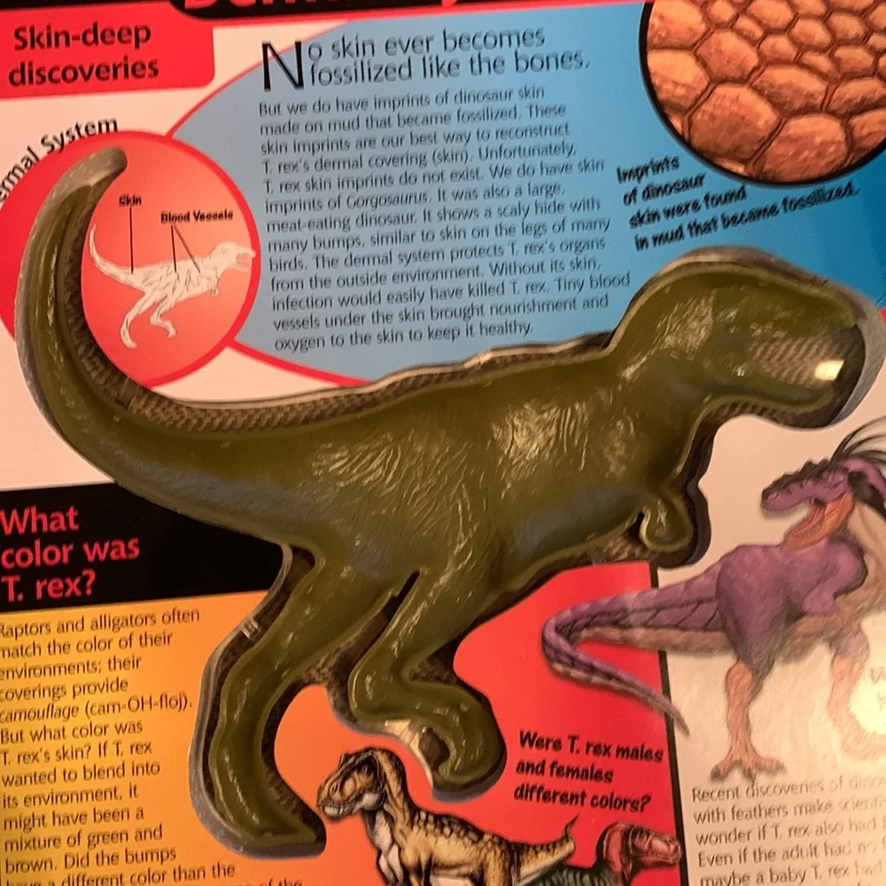 Uncover a T. Rex book 3D model dinosaur Dino anatomy facts learning ages 8+ VGUC